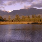 Lake Matheson @ Fox Glacier, New Zealand