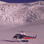 Fox Glacier in New Zealand