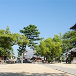 Zentsu-ji in Zentsu-ji City Kagawa, Japan. Photographer 663highland