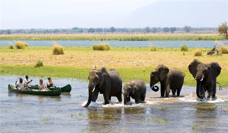 HwangeNational Park, Zimbabwe