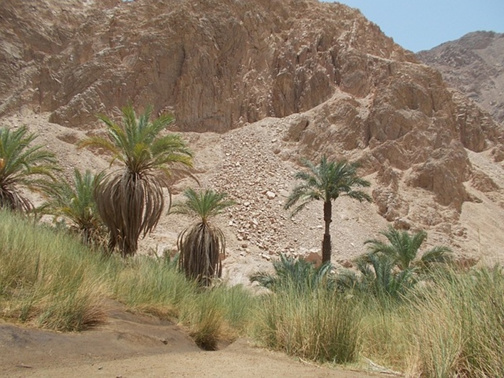 Places to visit in Egypt