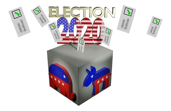 The Indian American Voter In 2020