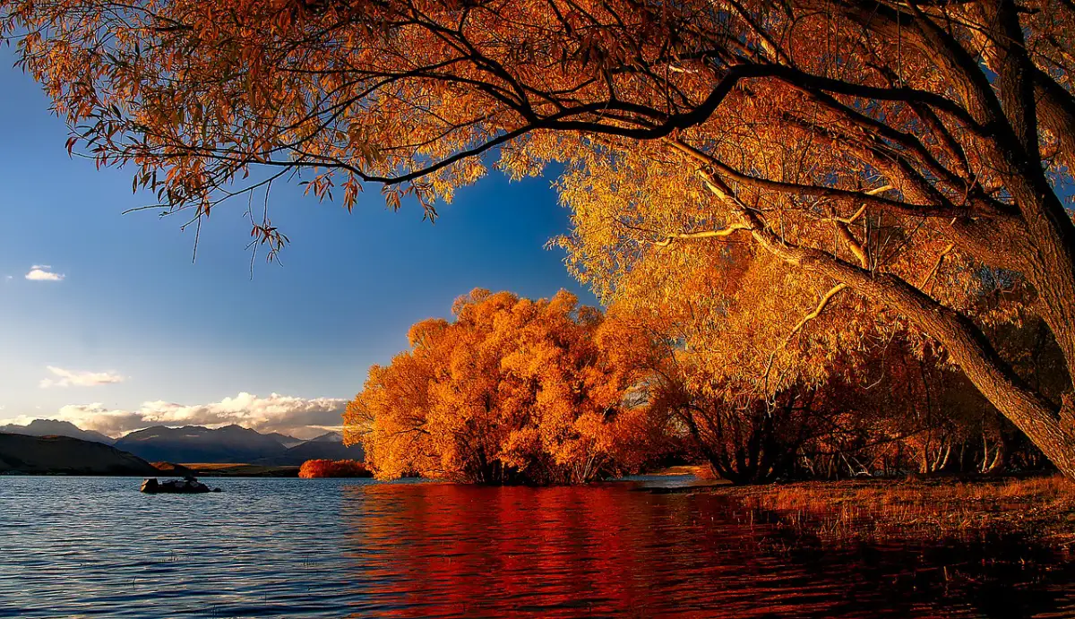 New Zealand Lake Tekapo Reflections