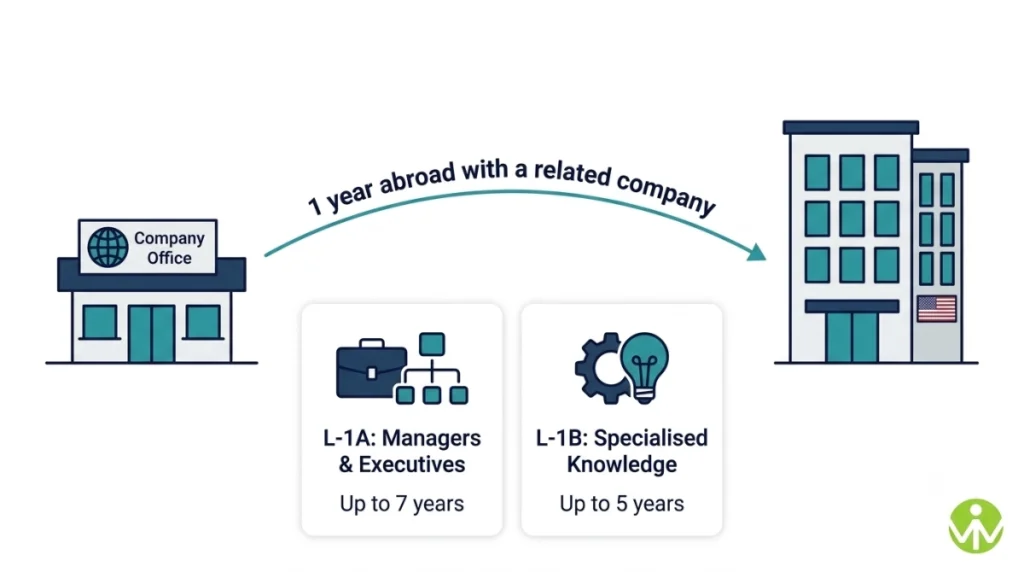 L-1 visa infographic comparing L-1A managers and executives with L-1B specialised knowledge transfers